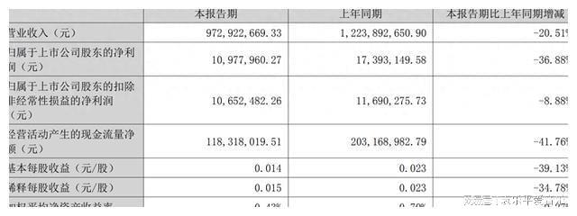 利大降 曾举债22亿跨界新能源pg麻将胡了南方黑芝麻上半年净(图3)