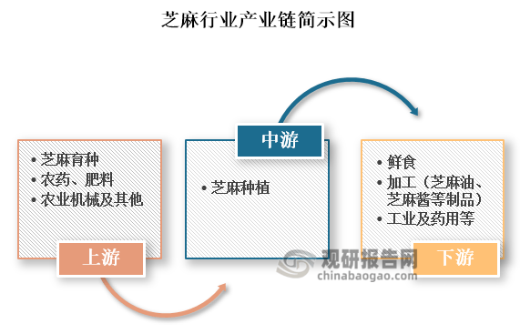 投资前景研究报告（2024-2031年）麻将胡了试玩中国芝麻行业发展趋势分析与(图4)